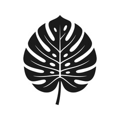 Black silhouette of a tropical Monstera deliciosa plant leaf with characteristic splits and holes, isolated on a white background. © Quensha