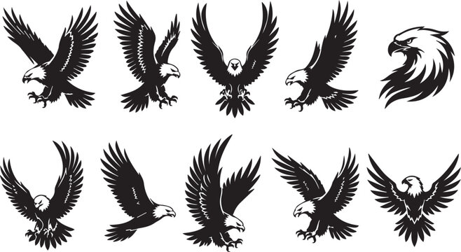 BIRDS