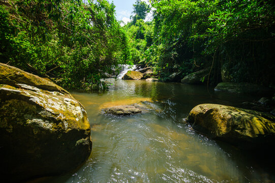 Serene river flowing through lush green forest with rocks and small waterfall