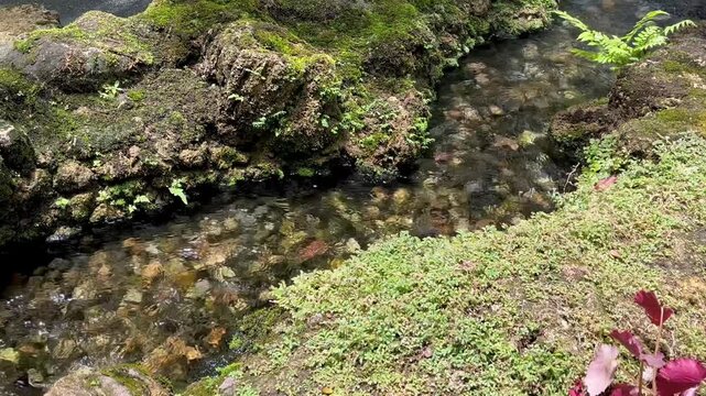 Water over rocks and stones in the stream