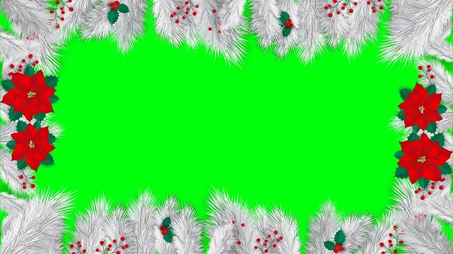 Festive Christmas frame animation with white pine branches, red poinsettia flowers, and green screen