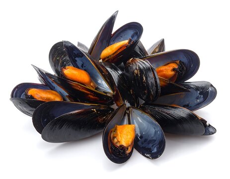 A pile of shiny black and orange mussel shells on a white background