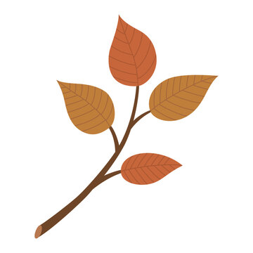 Autumn branch with leaves isolated on white background, Vector Illustration.	