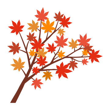 Lush red maple leaves on autumn tree branch isolated on white background, Vector Illustration.	