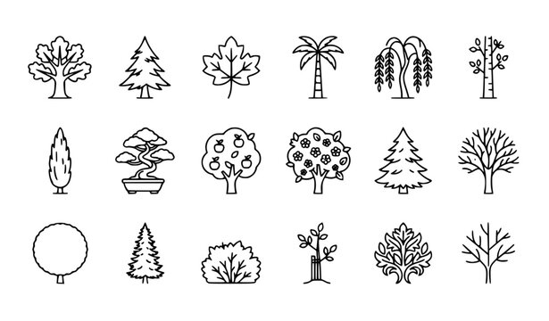 Create a premium vector collection of clean black tree line icons in a modern minimalist outline style. Include oak tree, pine tree, maple tree, palm tree, willow tree, birch tree, cypress tree, bonsa