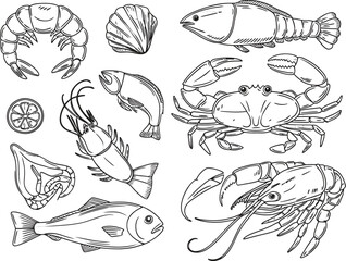 Obraz premium Vintage seafood line art collection, hand drawn fish and shellfish vector set, black and white nautical food illustrations for restaurant menus