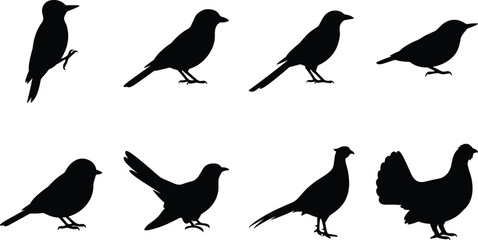 Fototapeta premium Bird of Prey Silhouette Collection with Eagle Hawk Falcon Owl and Flying Raptor Poses