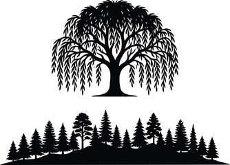 Weeping willow tree and coniferous forest silhouette on white background © Mahmudul