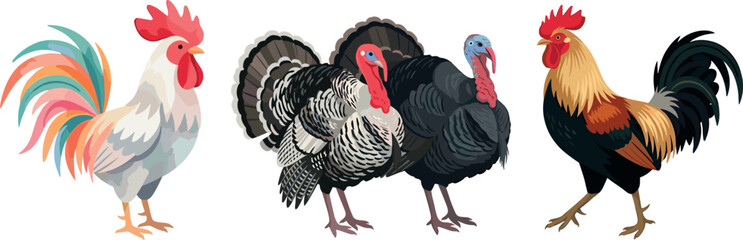 Poultry Farming Vector Set Featuring Realistic Rooster and Turkey Illustrations for Farm House Themes Thanksgiving Graphics and Butcher Shop Branding Designs © Rtazmina