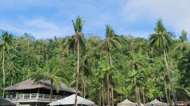Palm trees sway gently as camera pans across tropical beach resort