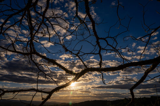 Sunset glowing through silhouette tree branches and foliage in Ibitipoca landscape