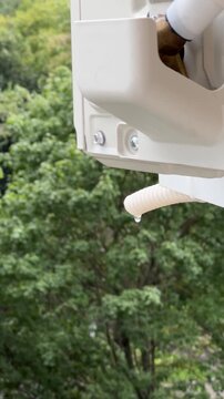 Vertical Close up of water dripping from an air conditioner drain pipe summer against a backdrop of green trees. Maintenance and repair concept