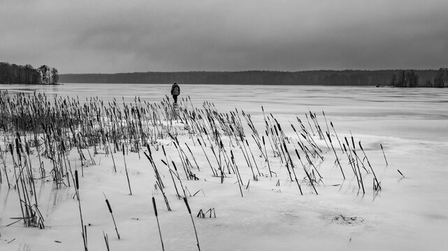 Minimalist Black and White Landscape With Person Walking on Frozen Lake Among Reeds