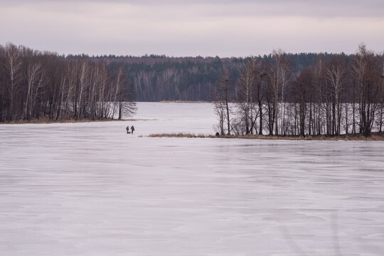 Winter Travelers Moving Through Forest Island Passage on Thawing Lake