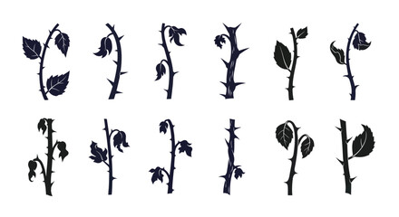 Obraz premium Thorny Stems, Rose Branches and Prickly Vines Vector Set