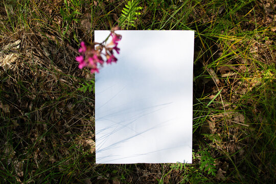 Mockup of white A4 sheet in field green plants with a blurry purple wildflower. Layout of poster on green plant background. Poster, blank template in a natural environment