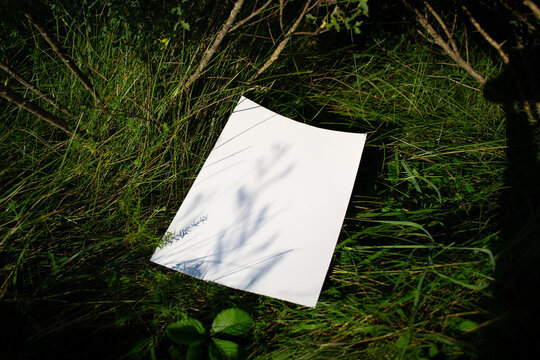 A white A4 sheet mockup in a field of grass with shadows from plants in the evening sunlight. Poster mockup, blank template in a natural environment