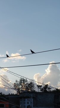 Two birds sit on wire against sky with clouds moving slowly