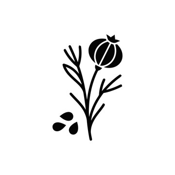 Black cumin seed plant icon, nigella sativa botanical illustration, organic herb vector