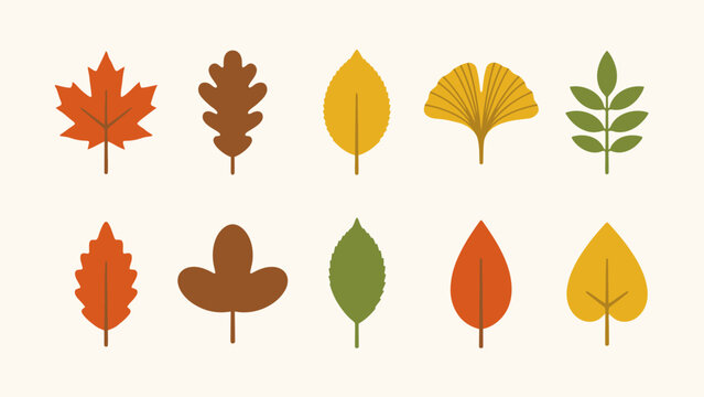 A collection of autumn leaves in a flat vector illustration with muted earth tones fall foliage leaf shapes