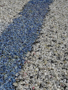 Close-up texture of chopped blue and white flower petals and plant material forming a pattern for a traditional floral carpet on asphalt