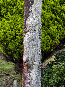Close-up of a weathered stone pillar with a carved relief of a religious figure covered in lichen on the Camino de Santiago in Spain