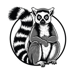 Detailed black and white illustration of a ring-tailed lemur sitting within a circular frame, showcasing its distinctive features. © Shukhi's world 