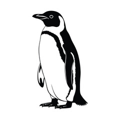 Fototapeta premium Black and white illustration of a standing penguin with detailed feathers and a sleek profile.
