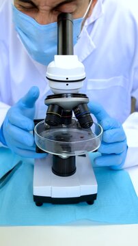 The tick laboratory is conducting an analysis. Selective focus.
