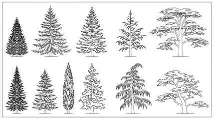 Fototapeta premium Set of coniferous and evergreen tree silhouettes for architectural landscape design