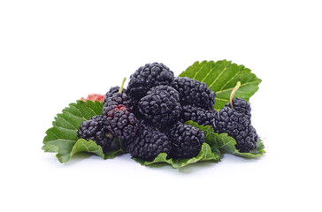 Fresh ripe black mulberries with green leaves. © ANASTASIIA