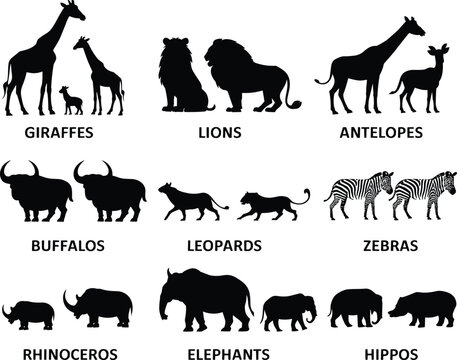 African Wildlife Silhouettes of Iconic Animals Including Lions, Elephants, Giraffes, Zebras, and More for Educational Use