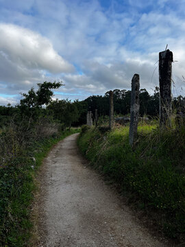 Dirt path with rustic stone posts under a cloudy sky on Camino de Santiago Spain