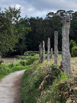 Dirt path with traditional stone posts along Camino de Santiago Spain