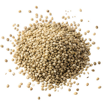 Pile of Organic Raw Hemp Seeds Isolated on White Background