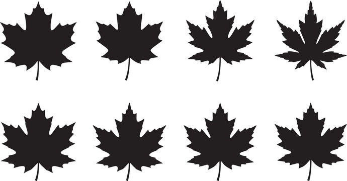 A collection of eight distinct maple leaf shapes arranged in a clean grid pattern presented in a bold black graphic silhouette