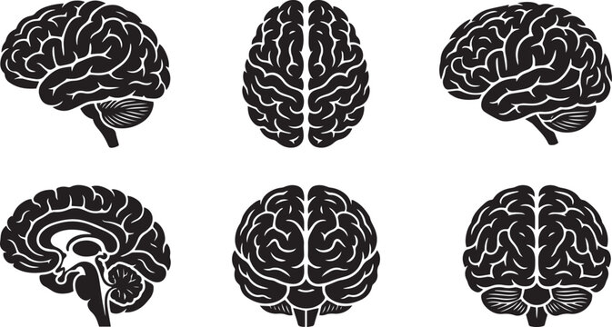 Set of anatomical human brain views displayed in a high contrast black and white graphic design style featuring a detailed brain silhouette