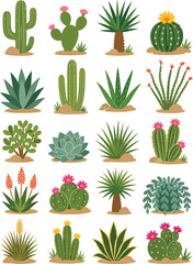 Fototapeta premium Decorative succulent plants flat vector illustration collection featuring cactus, aloe, agave and potted desert plants isolated on white background