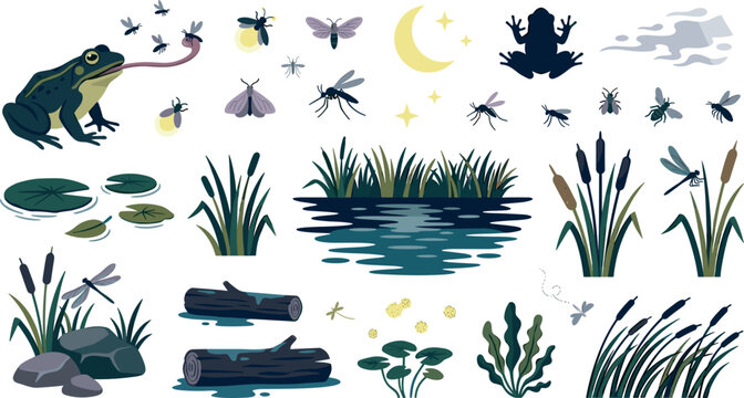 Night swamp vector element set with frog catching insects pond water lilies cattails moon fireflies and wetland plants