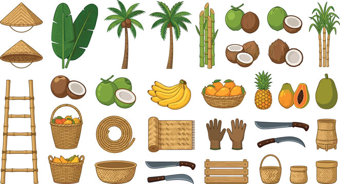 Tropical agriculture vector illustration set with palm trees, exotic fruits, harvesting tools, baskets, conical hats, and bamboo ladder elements