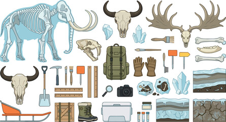 Prehistoric ice age animal fossils vector set with mammoth skeleton, saber-toothed tiger skull, bull skulls, antlers, permafrost soil, and expedition gear © Monirul