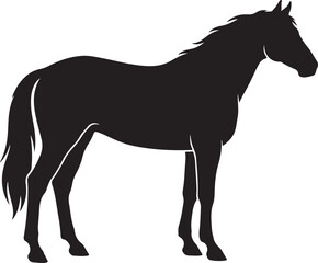 Obraz premium Black horse silhouette standing