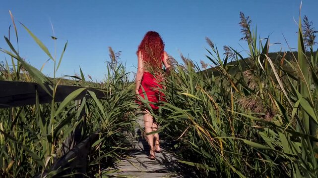  Red haired woman in red skirt dancing on wooden footbridge in reed