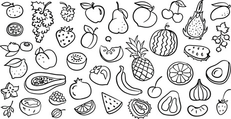 Fototapeta premium Hand Drawn Fruits Line Art Icon Set with Blue Outline Sketch Doodles for Organic Food Menu, Healthy Diet, and Botanical Graphic Designs