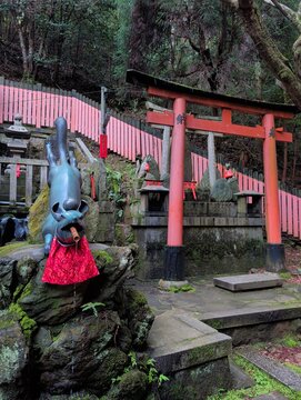 Fushimi Inari Taisha Fox Fountain and Red Torii Gate Kyoto