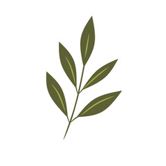 Fototapeta premium Minimalist Olive Green Leaf Branch Botanical Illustration
