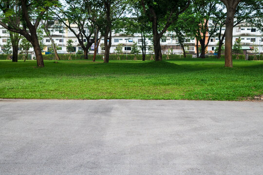 Close up of asphalt road with park background view.