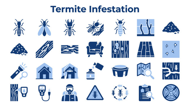 Termite infestation and pest control icons set including insects damage inspection tools and professional wood treatment services for home maintenance