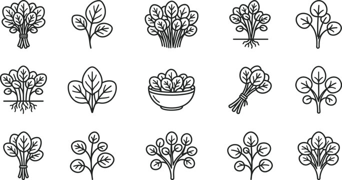Variety of leafy green vegetable plants.