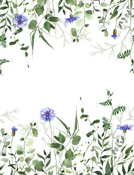 Watercolor painted floral and greenery seamless border frame. Blue wild cornflower, green plants, branches, leaves and twigs. Summer reach nature design template.